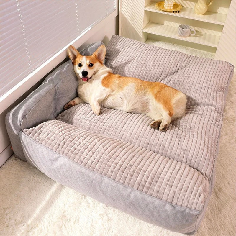 Corgi couché sur un tapis doux et moelleux de couleur gris dans un salon de couleur claire. Le chien est couché avec les yeux ouverts. Image produit Boutiquechien