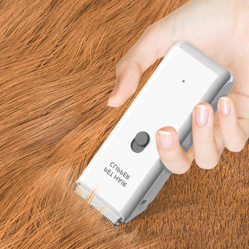 Petit tondeuse chien de couleur blanc tondant un chien de couleur roux maintenu par une main blanche. Image produit Boutiquechien