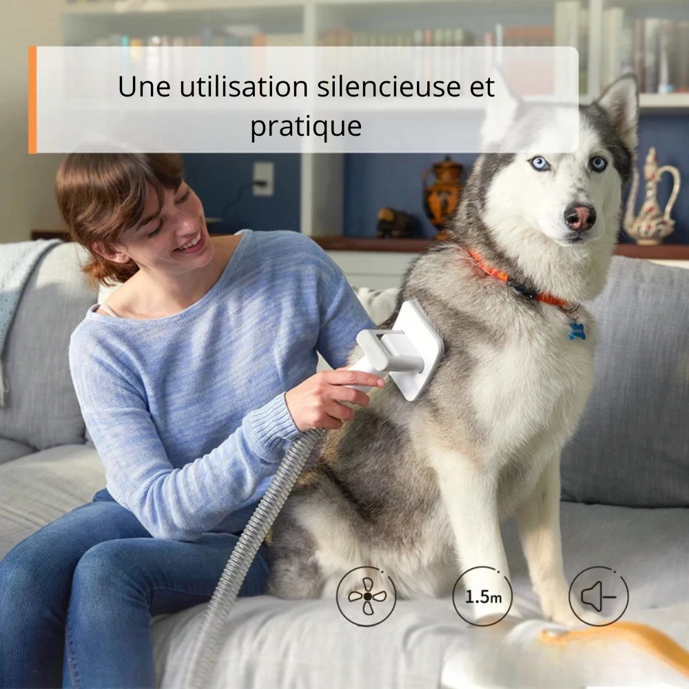 utilisation silencieuse et pratique du pulser chien silencieux, parfait pour sécher votre chien dans le calme sans le stresser. Le chien est assis sur le canapé se faisant essuyé par sa maîtresse habillé en bleu. Image produit Boutiquechien
