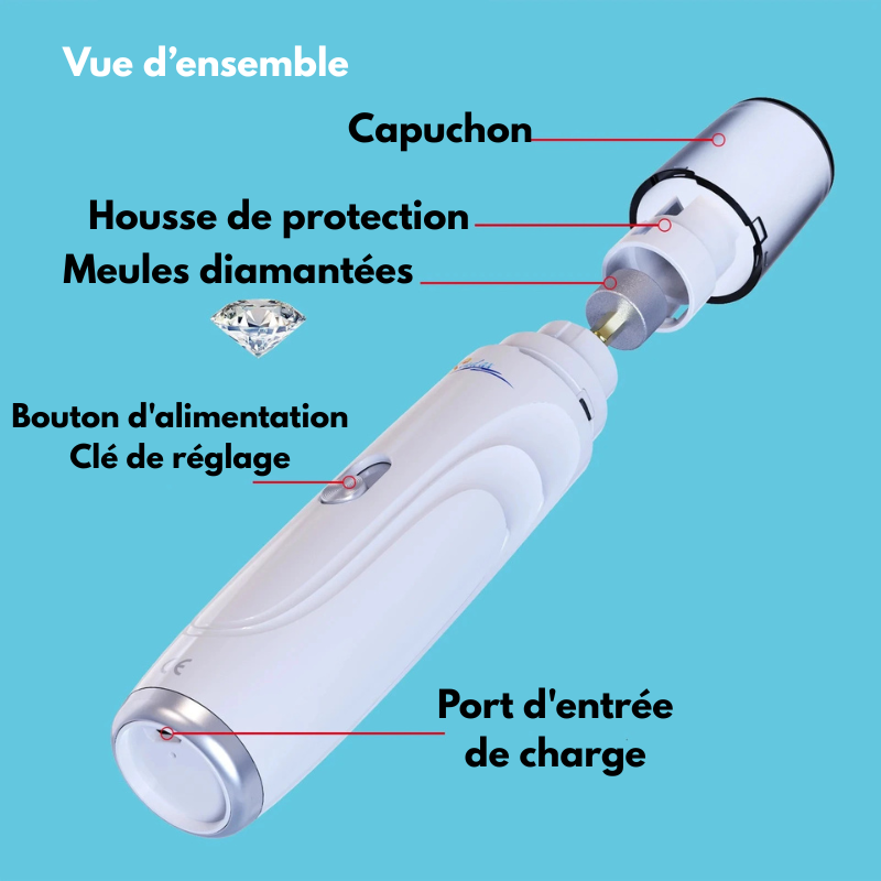 ponceuse de griffe pour chien avec toutes les caractéristiques du produit. Image produit Boutiquechien