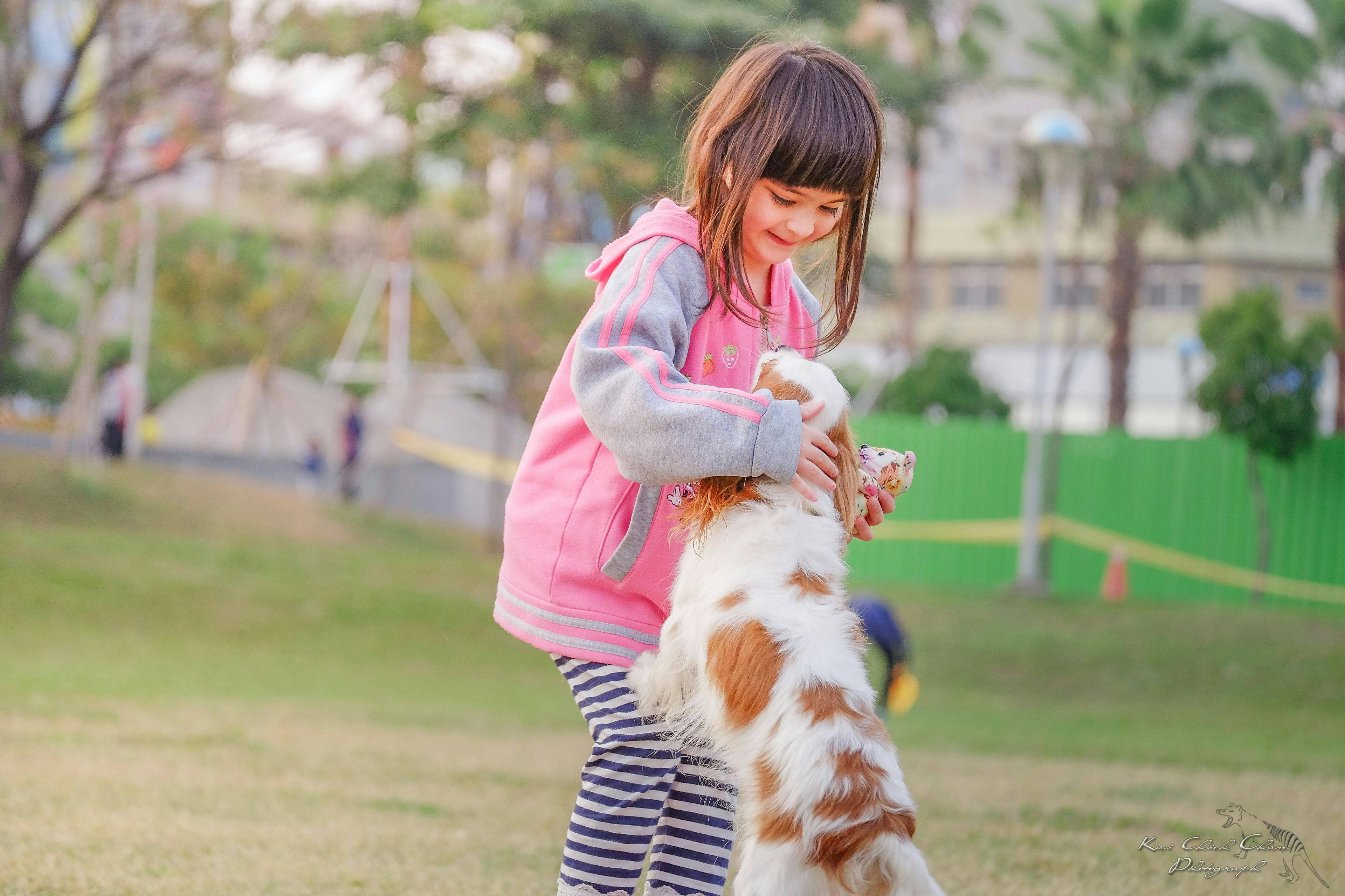 chien de couleur blanc jouant avec une fillette habillé en rose dans un parc Image