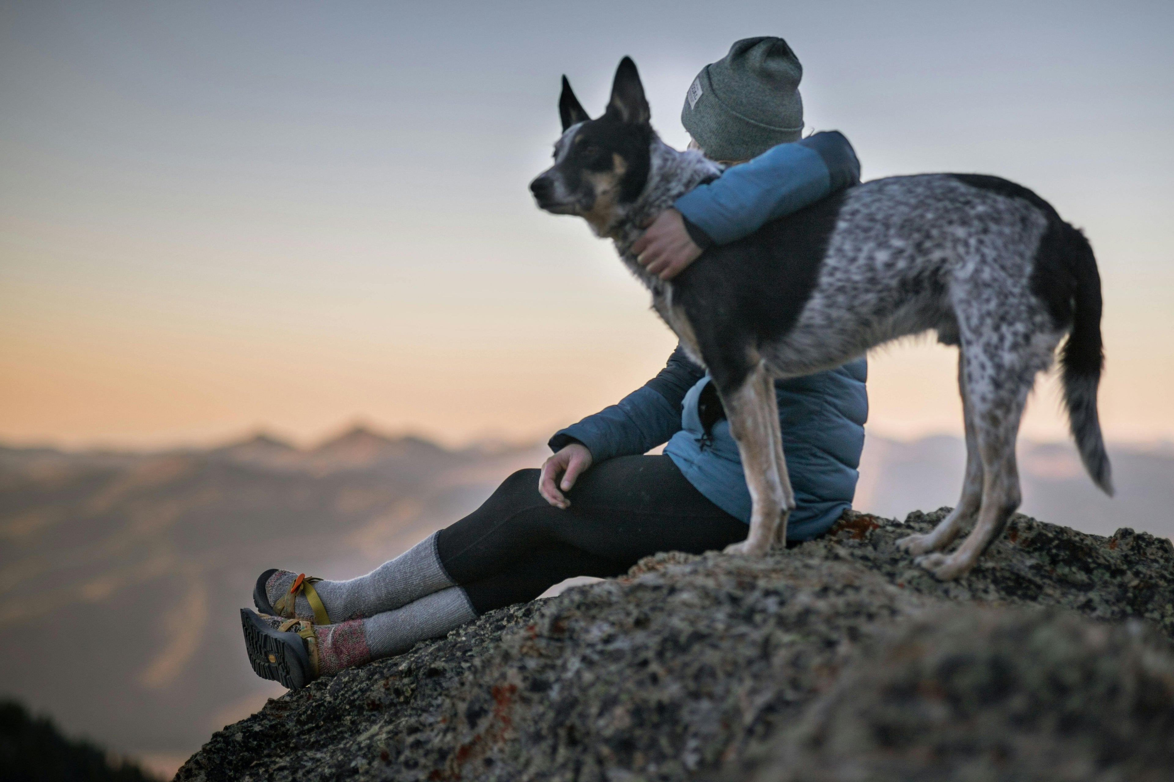 Comment un chien dit "je t’aime" ? 7 signes de tendresse canine décryptés Image