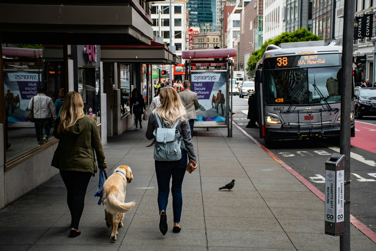 femmes et chien dans la rue