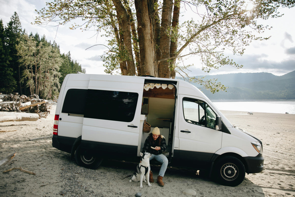 chien et homme faisant un roadtrip dans une camionnette blanche sur une plage 