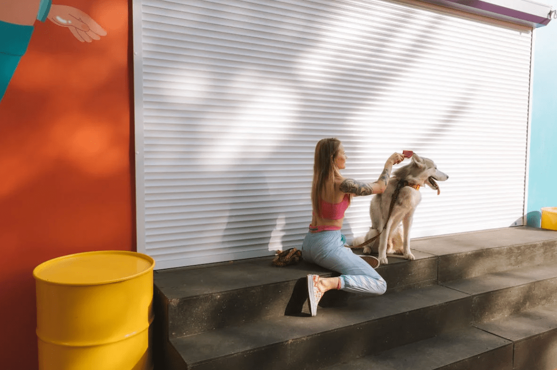 chien blanc se faisant brosser dans la rue Image