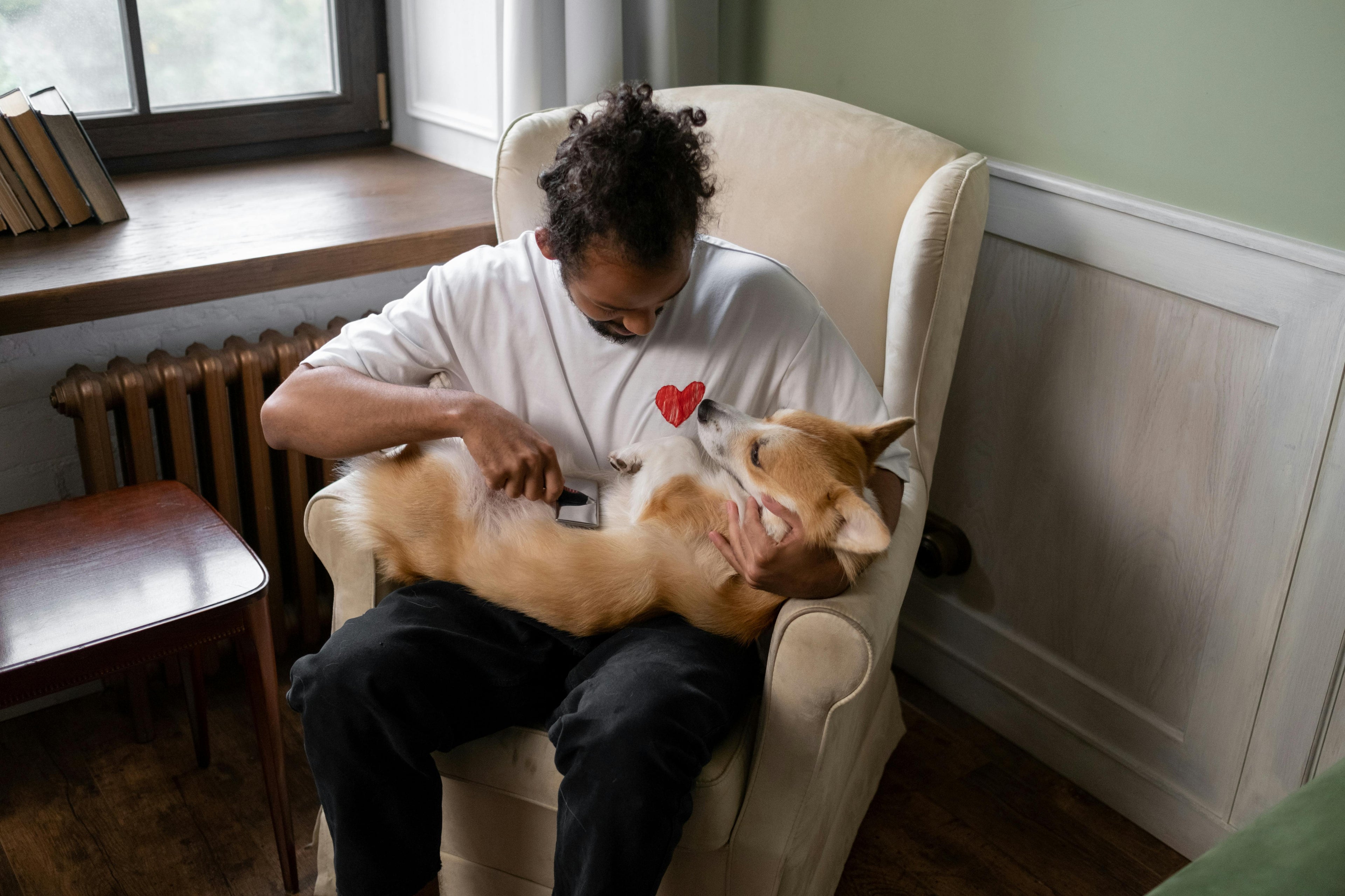 Chien couché sur un homme qui le brosse Image