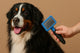 Brosse chien poil long