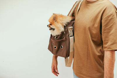 petit chien dans un sac à main pour chien. Le sac à mains est brun et il est tenu par une femme avec un t-shirt brun. L'image est utilisé pour la collection sac pour chien du site boutiquechien