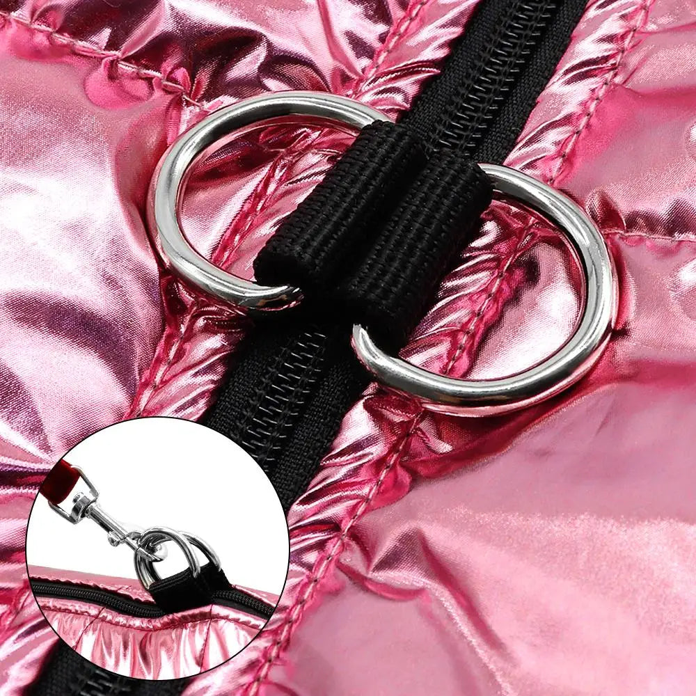 Attache de la veste rose pailleté double pour un maintien optimial. Image produit Boutiquechien