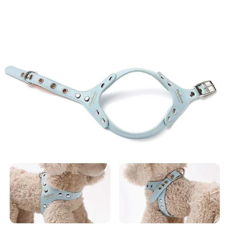 fonctionnement du harnais de luxe pour petit chein de couleur bleu. image produit Boutiquechien