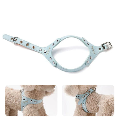 fonctionnement du harnais de luxe pour petit chein de couleur bleu. image produit Boutiquechien