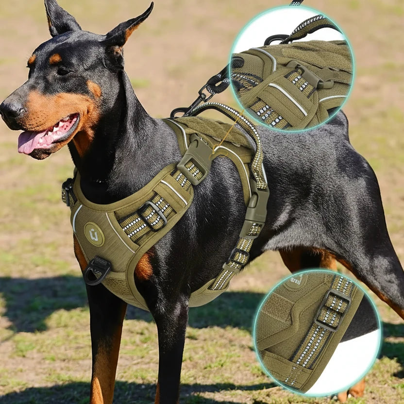 Auroth harnais de chien anti traction mis en valeur sur un doberman