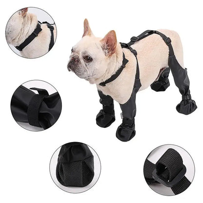 Avantages des bottes pour chiens hautes de boutiquechien de couleur noir 