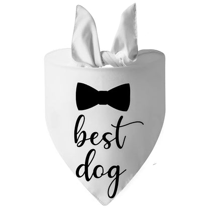 Bandana pour chien de couleur blanc avec écriture noir. Image produit Boutiquechien