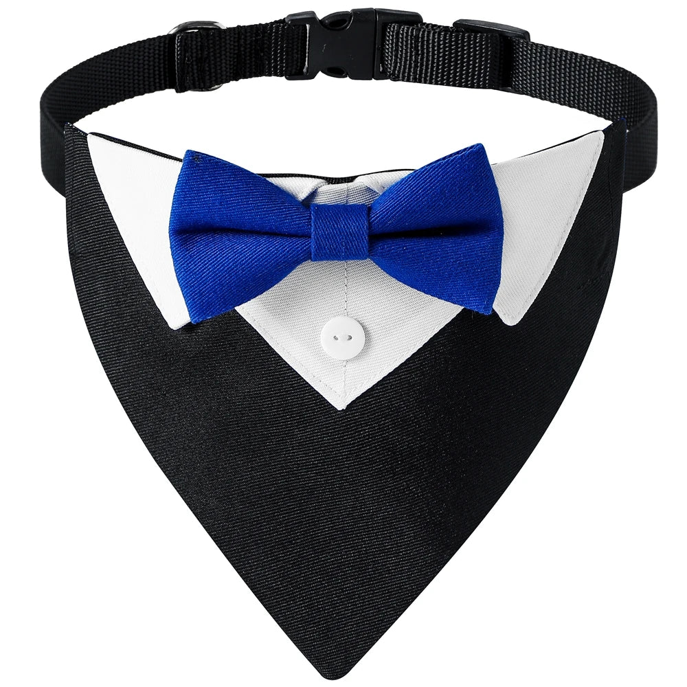 Bandana pour chien de couleur noir et bleu avec classe pour les chiens. Image produit Boutiquechien