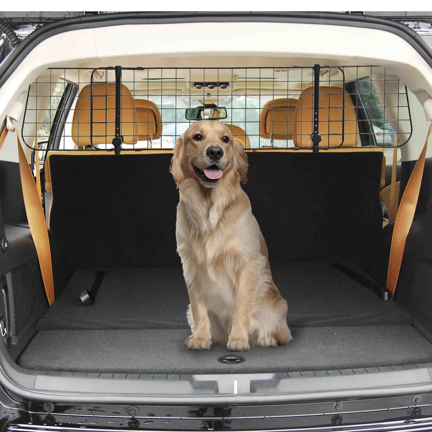 Barre protection chien voiture avec un chien dans la coffre