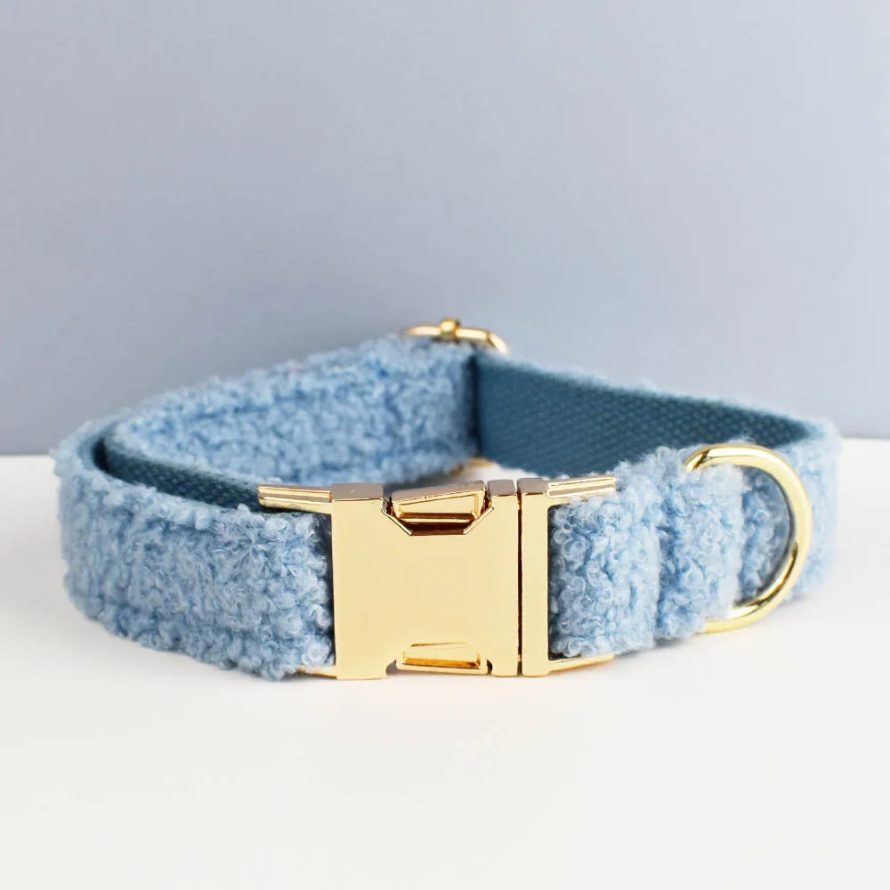 Beau collier chien bleu claire 