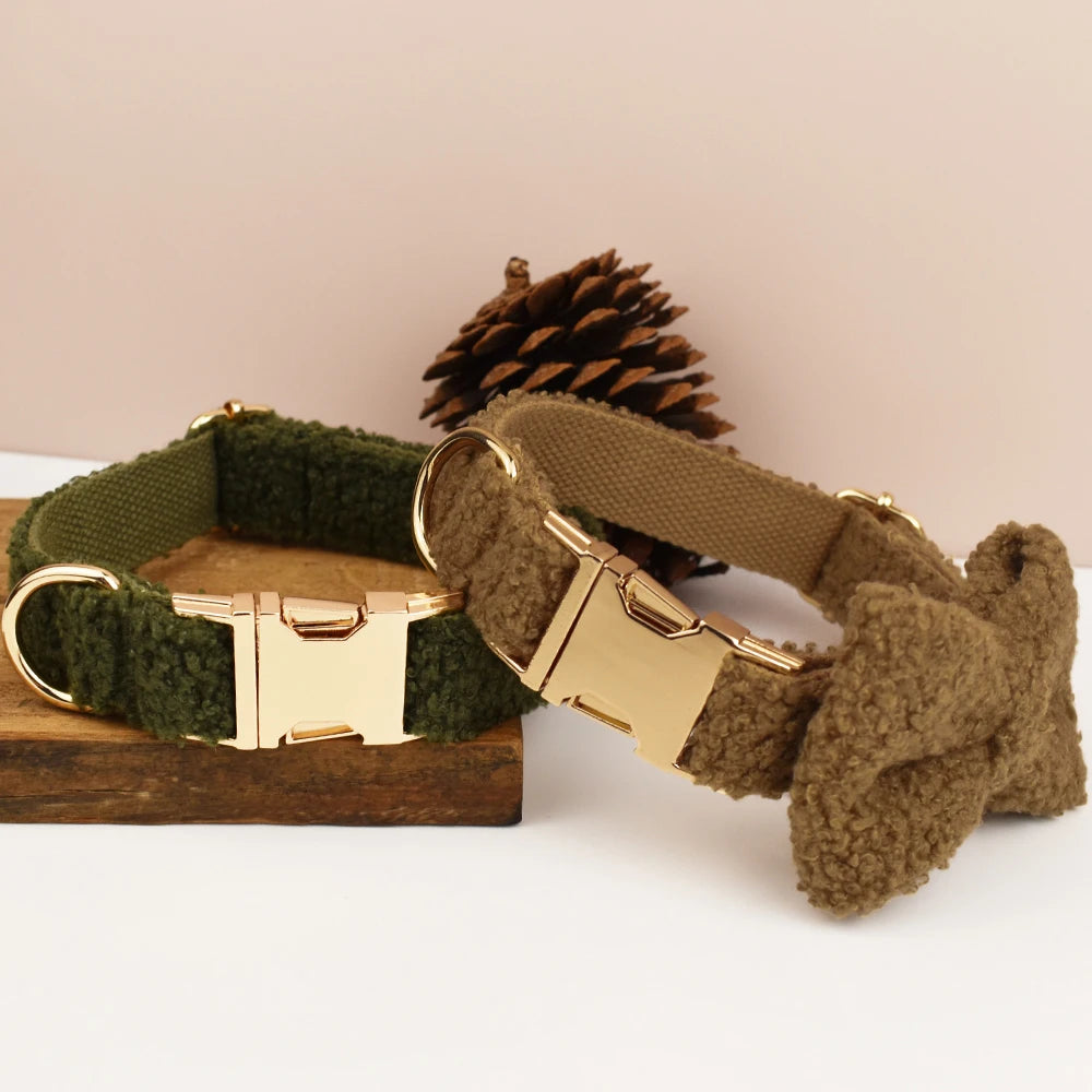 Beau collier chien brun mis en valeur 