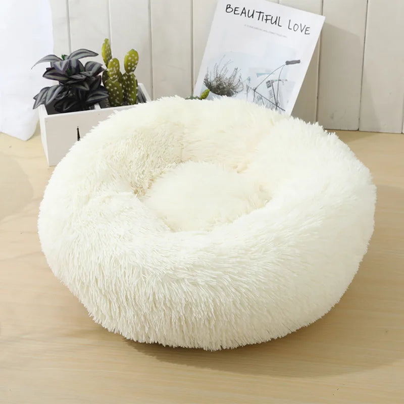 Beau panier pour chien blanc