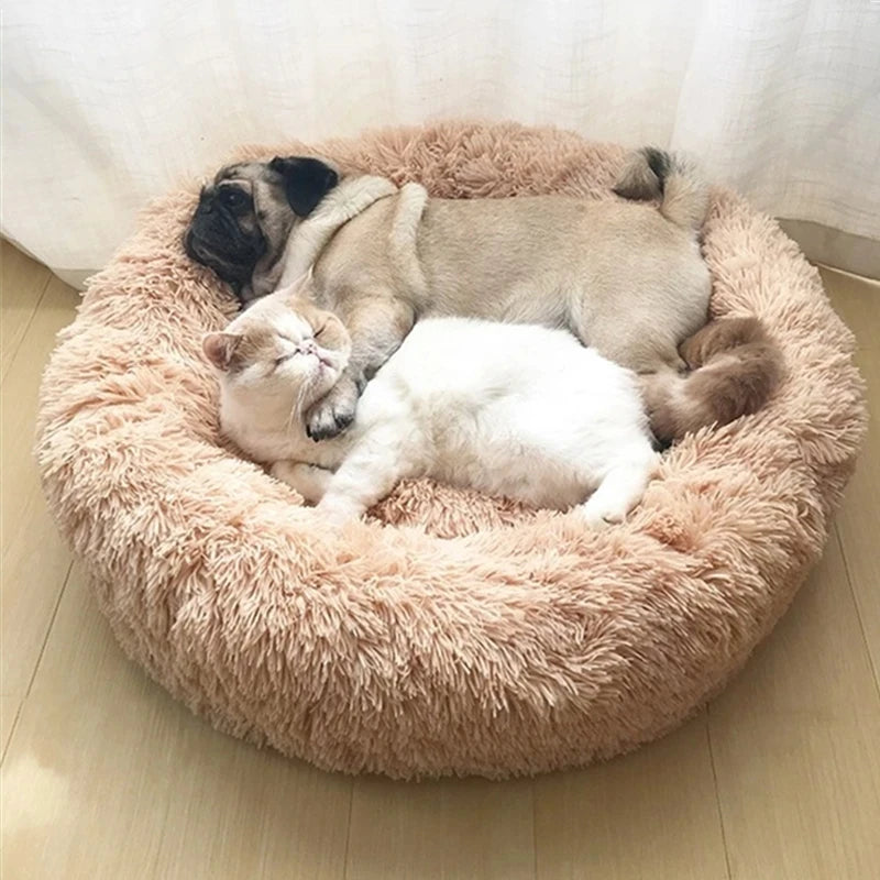 Beau panier pour chien chat et chien Image