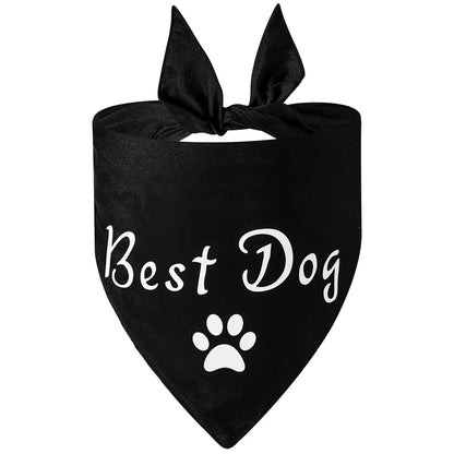 Best dog en bandana pour chien de couleur noir et blanc. Image produit Boutiquechien