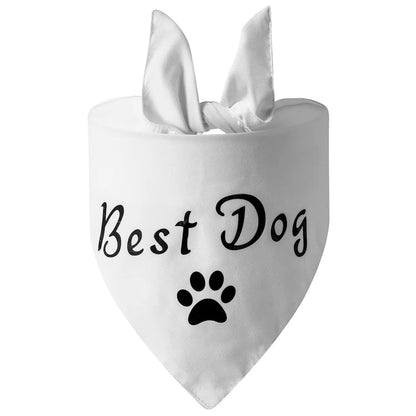 Best dog en bandanna pour chien de couleur blanc et noir avec une patte noir. Image produit Boutiquechien