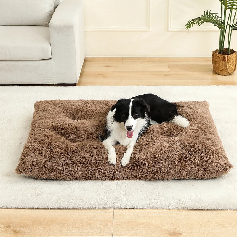 Bon panier pour chien brun avec un chien noir et blanc dessus  Image