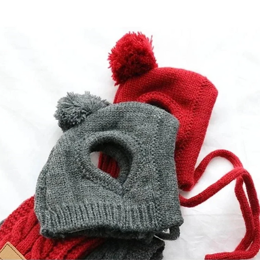 bonnet pour chien de couleur gris et rouge de boutiquechien