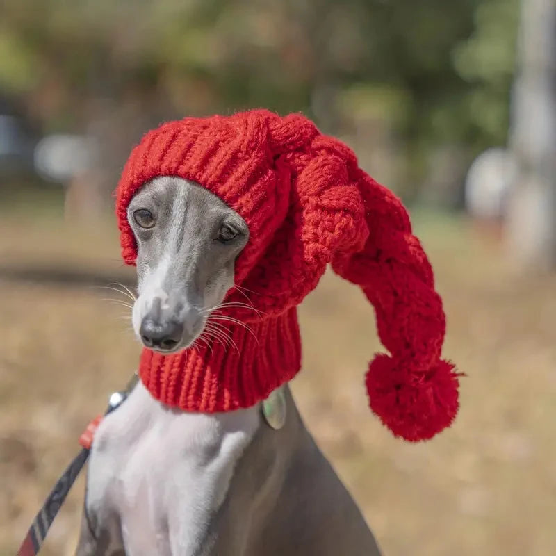 Chien de taille moyenne gris avec un bonnet pour chien intégral cagoule de couleur rouge. Image produit Boutiquechien