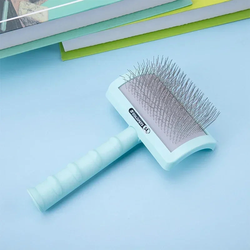 Brosse carde chien bleu pose dans un fond bleu Image