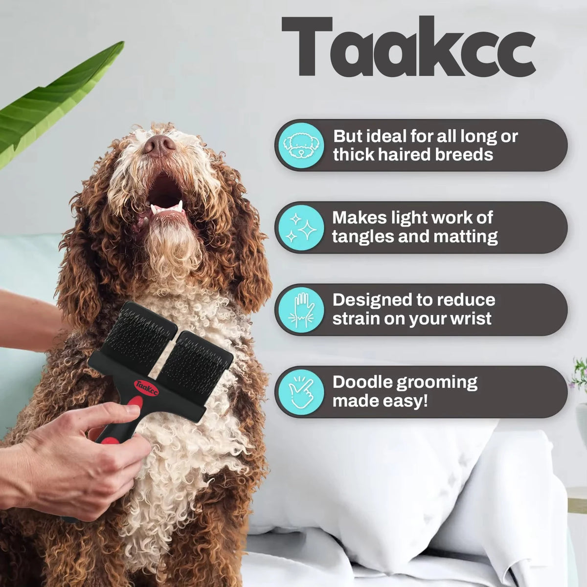 Brosse chien carde double avantages  du produit  Image