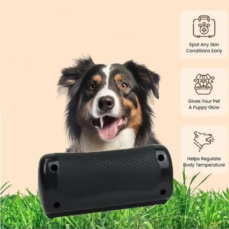 Brosse chien poil ras avantages 