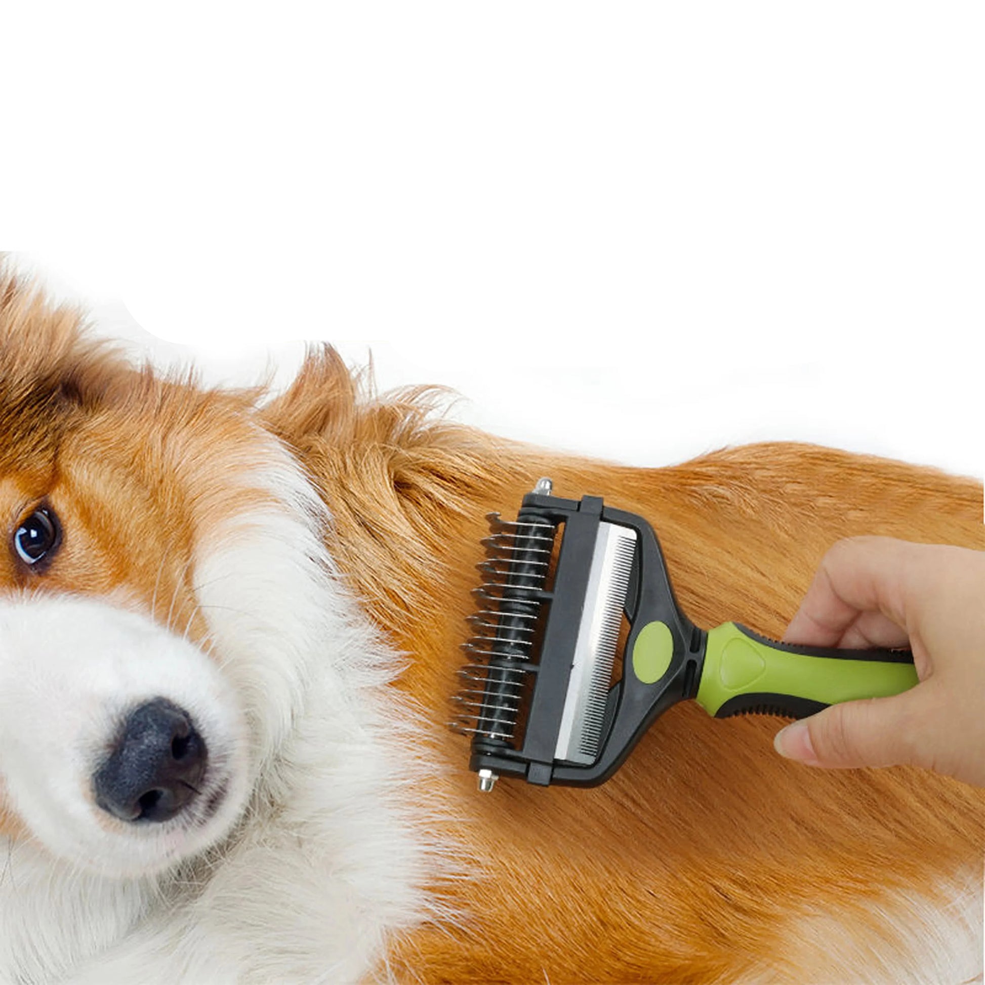 Brosse cocker avec un chien se faisant brosser 