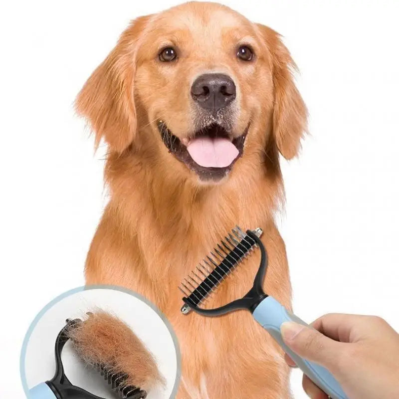 Brosse debourrage chien brossant un gros Chine brun Image