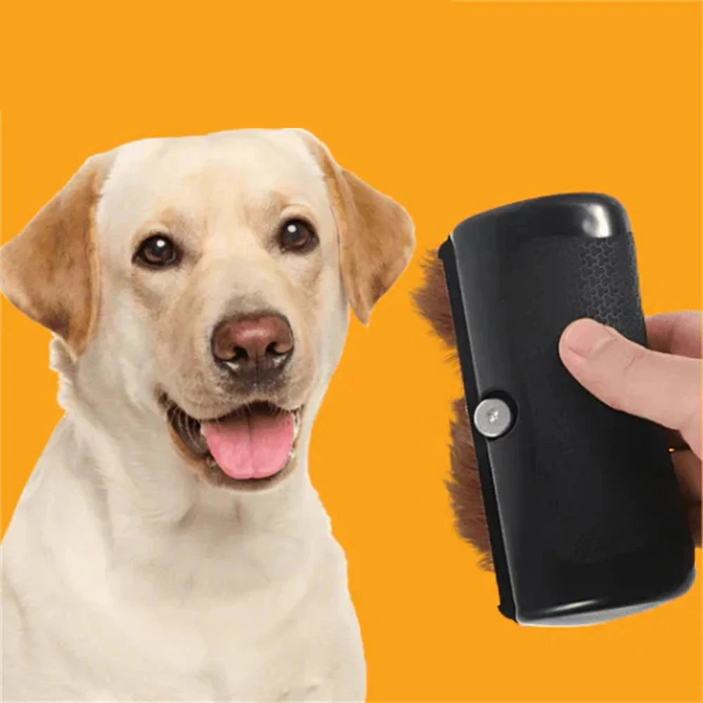 Brosse épilation chien de couleur noir avec un chien blanc 