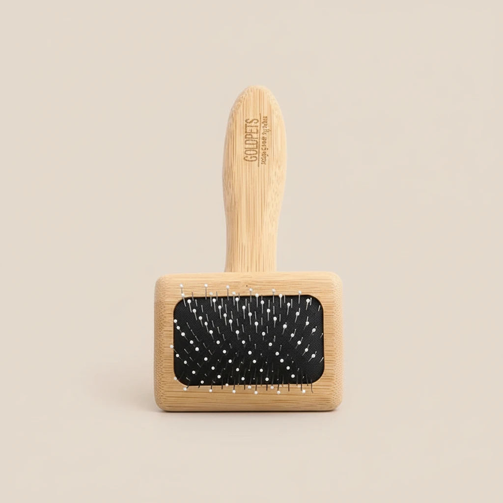 Brosse pneumatique chien bois et noir petite taille bois et noir