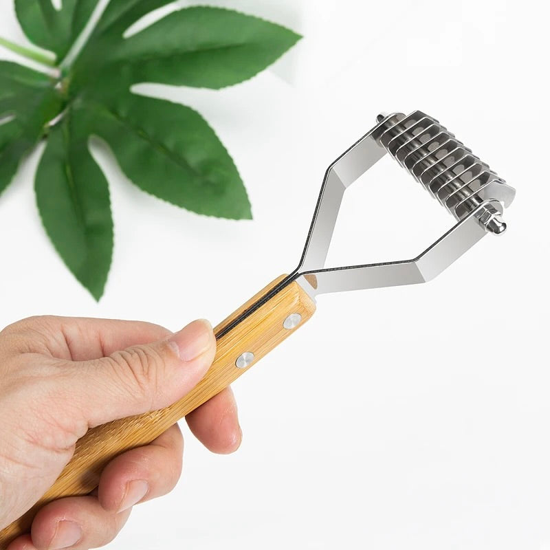 Brosse pour cocker spaniel plante verte en fond 