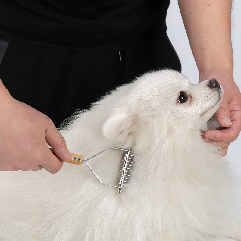Brosse pour cocker spaniel brossant un petit chien Blanc  Image