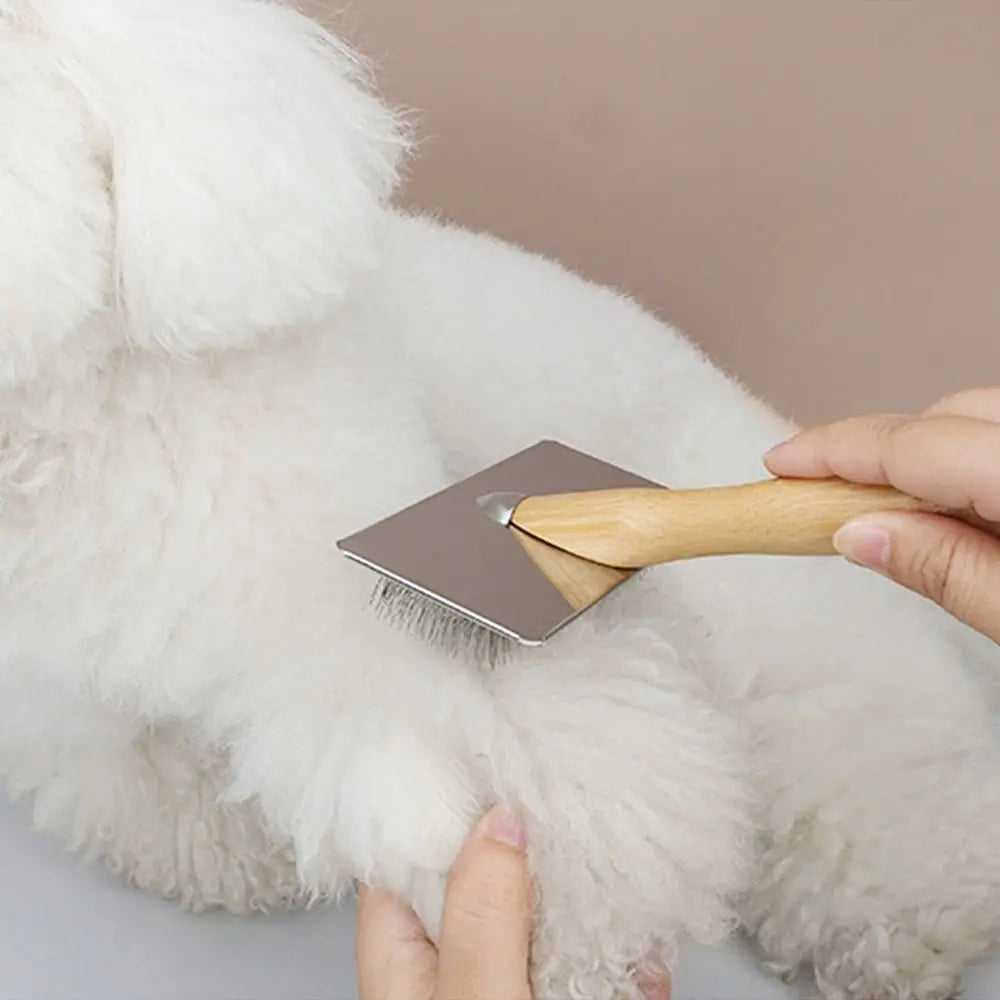 Brosse slicker cocker sur un chien blanc