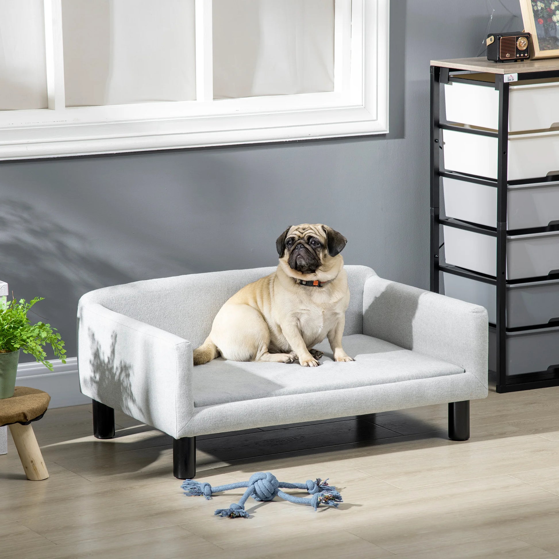 buldog de couleur blanc assis sur le canapé gris dans un salon claire. Image produit Boutiquechien