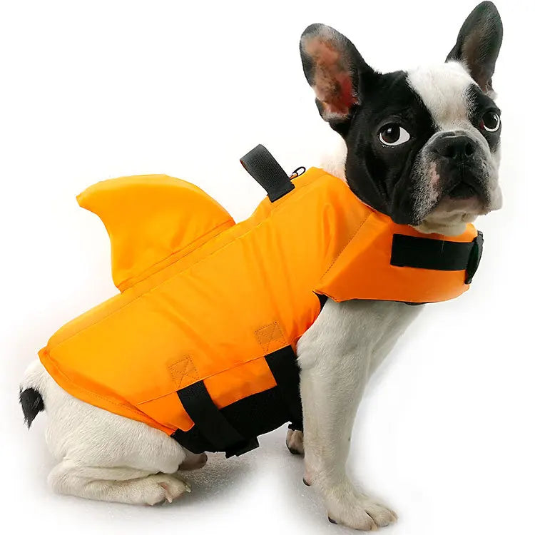 Buldog de couleur blanc et noir portant un gilet de sauvetage de couleur orange et noir sur un petit chien. Image produit Boutiquechien