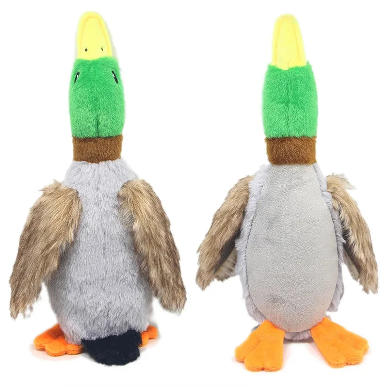 Canard pour chien avant et arriere   Image