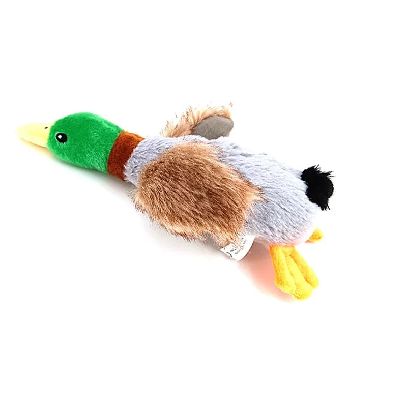 Canard pour chien de profil 
