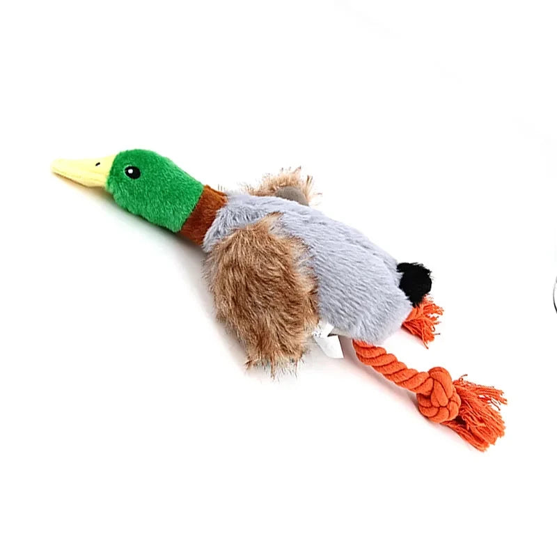 Canard pour chien patte tresse 