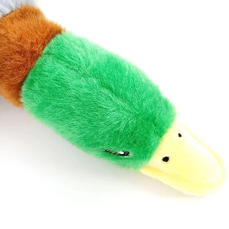 Canard pour chien tete canard 