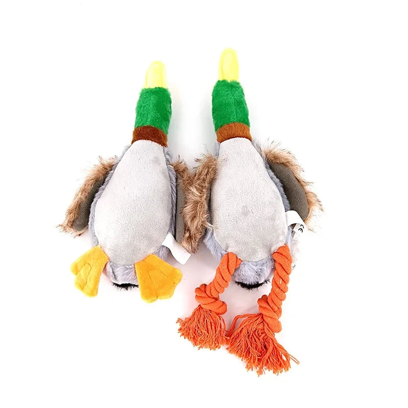 Canard pour chien vue du dessous produit 