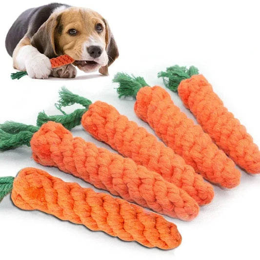 carotte style corde pour petit chien de couleur orange. Image produit Boutiquechien