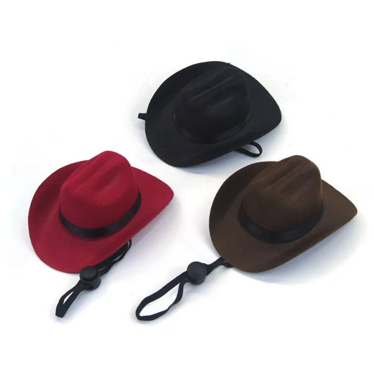 Chapeau de cow boy pour chien de couleur différente. Image produit Boutiquechien