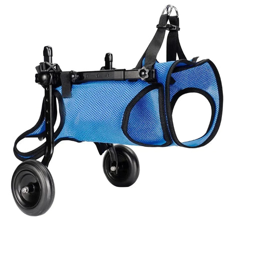 Chariot pour chien arthrose