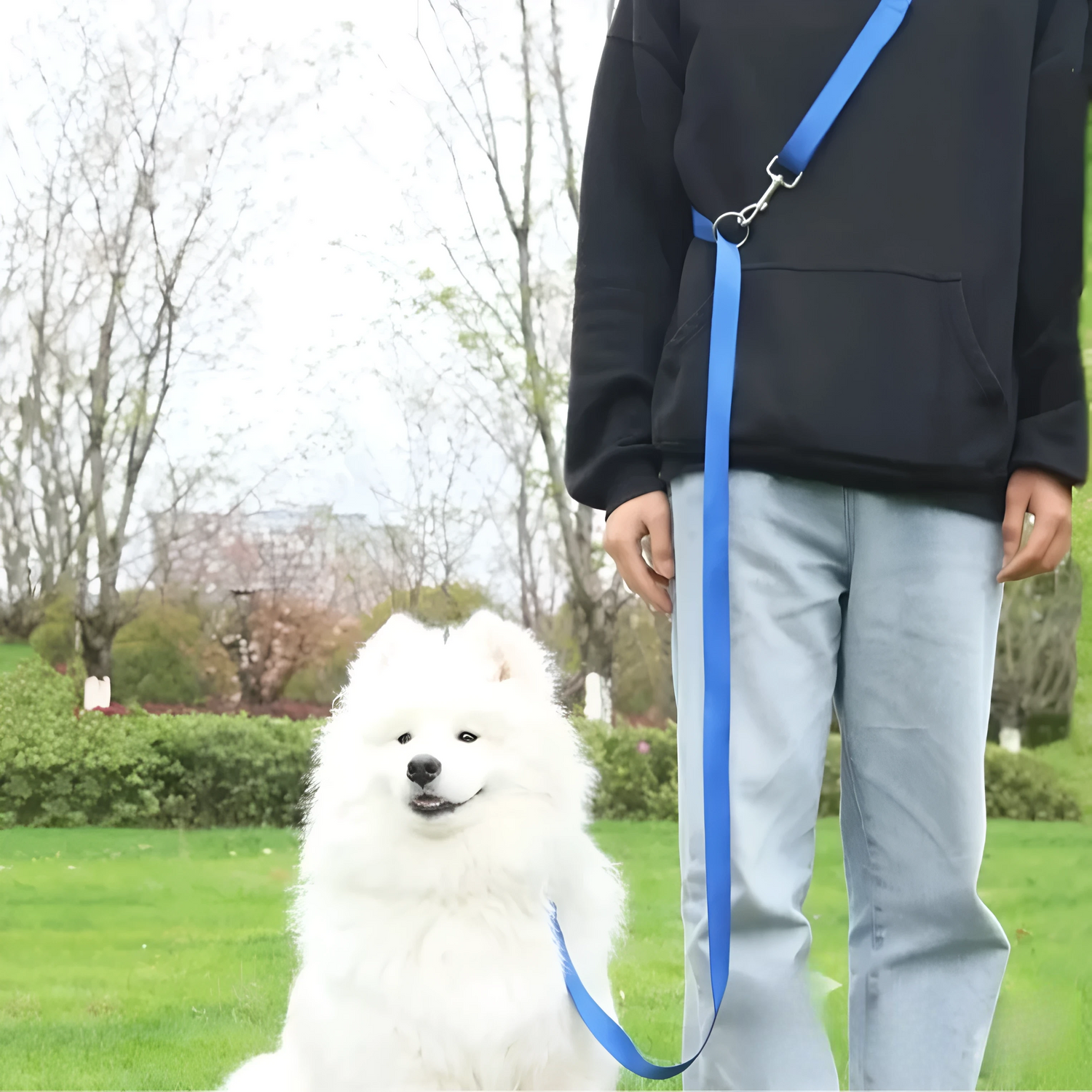 Chien de couleur blanc maintenu par une laisse main libre de couleur bleu. Les deux sont dans un parc de couleur vert. Image produit Boutiquechien